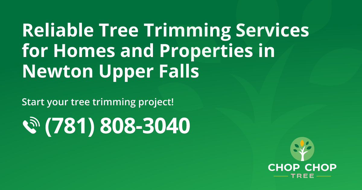Tree Trimming and Tree Care in Newton Upper Falls, MA | Chop Chop Tree